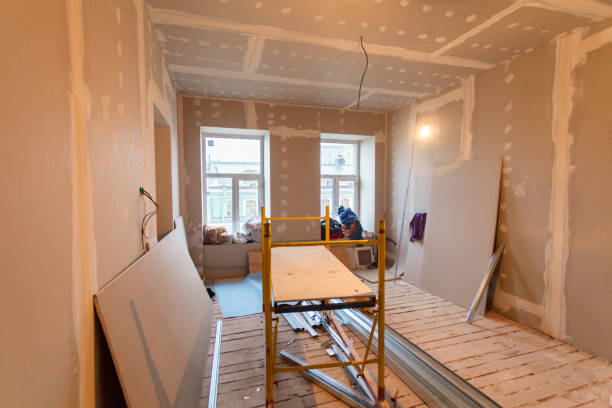 Best Drywall Removal and Disposal  in South Chicago Heights, IL